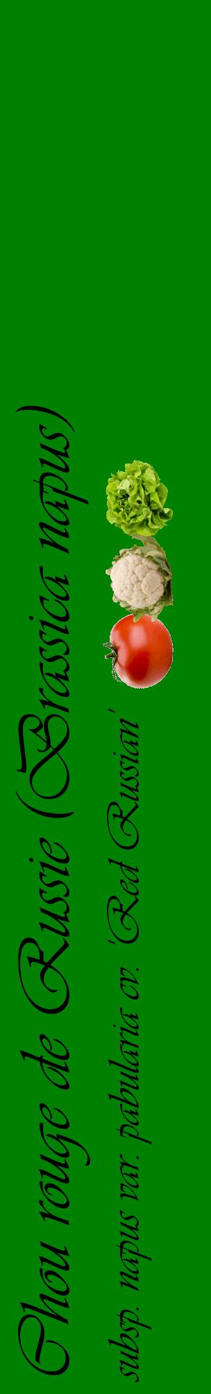 Étiquette de : Brassica napus subsp. napus var. pabularia cv. 'Red Russian' - format c - style noire9_basiqueviv avec comestibilité simplifiée