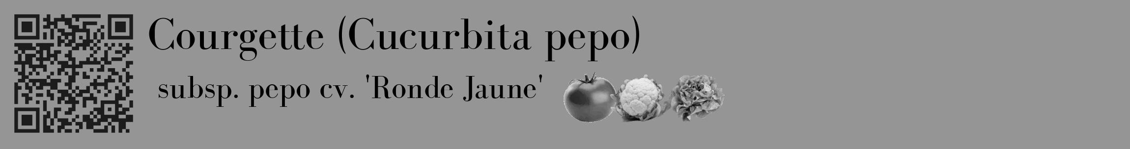 Étiquette de : Cucurbita pepo subsp. pepo cv. 'Ronde Jaune' - format c - style noire16_basique_basiquebod avec qrcode et comestibilité simplifiée
