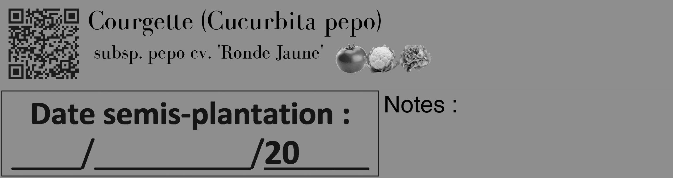 Étiquette de : Cucurbita pepo subsp. pepo cv. 'Ronde Jaune' - format c - style noire25_basique_basiquebod avec qrcode et comestibilité simplifiée