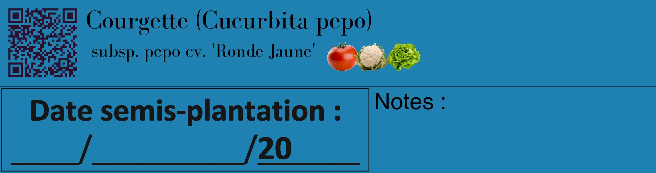 Étiquette de : Cucurbita pepo subsp. pepo cv. 'Ronde Jaune' - format c - style noire6_basique_basiquebod avec qrcode et comestibilité simplifiée