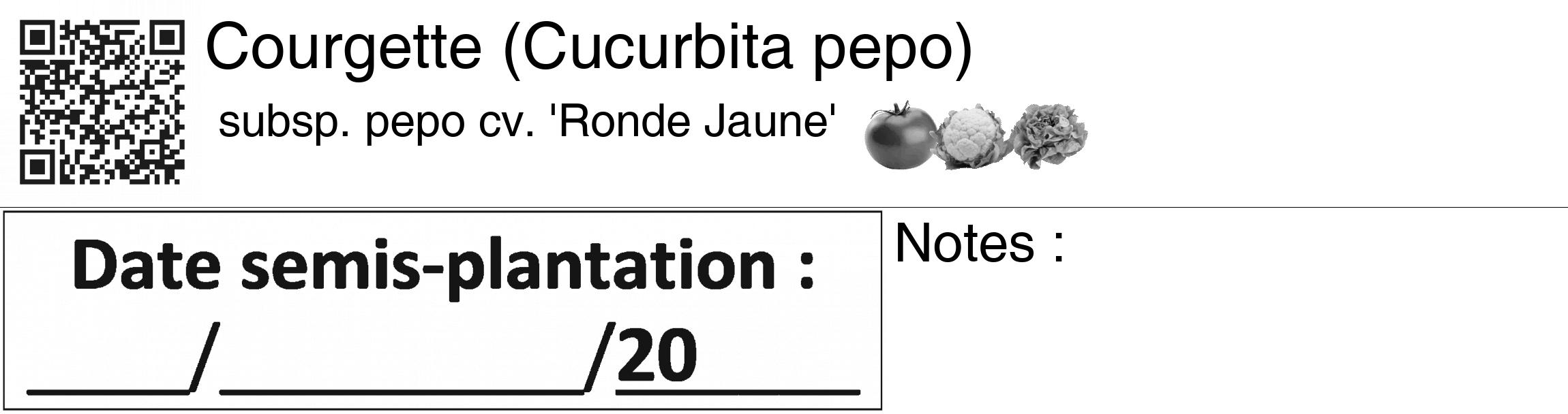 Étiquette de : Cucurbita pepo subsp. pepo cv. 'Ronde Jaune' - format c - style noire60_basiquegrrvhel avec qrcode et comestibilité simplifiée