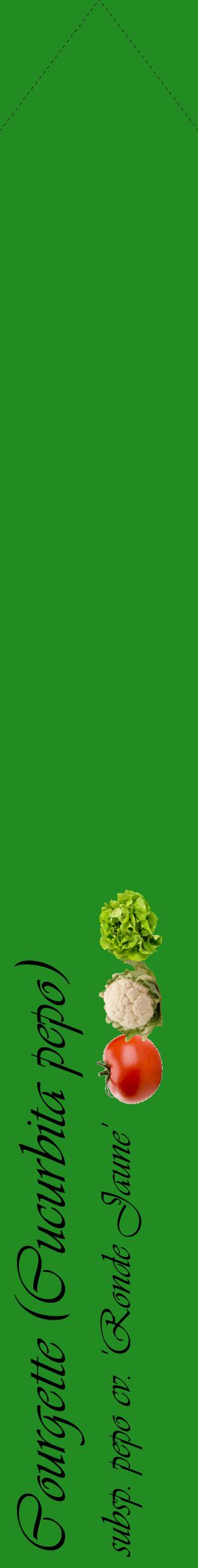 Étiquette de : Cucurbita pepo subsp. pepo cv. 'Ronde Jaune' - format c - style noire10_simpleviv avec comestibilité simplifiée