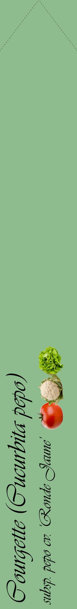 Étiquette de : Cucurbita pepo subsp. pepo cv. 'Ronde Jaune' - format c - style noire13_simpleviv avec comestibilité simplifiée