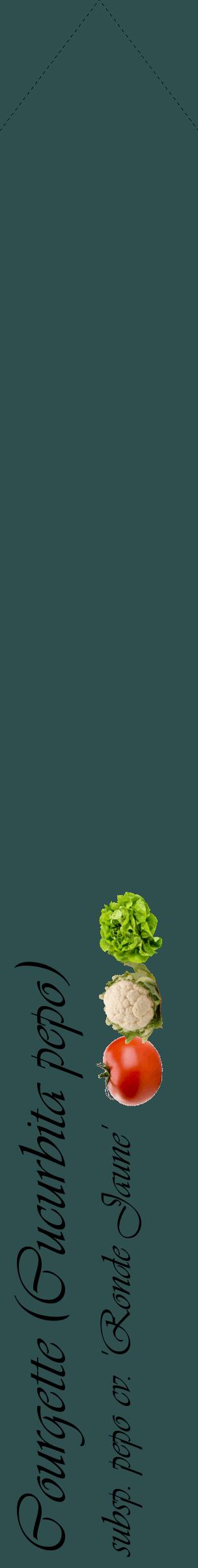 Étiquette de : Cucurbita pepo subsp. pepo cv. 'Ronde Jaune' - format c - style noire58_simpleviv avec comestibilité simplifiée