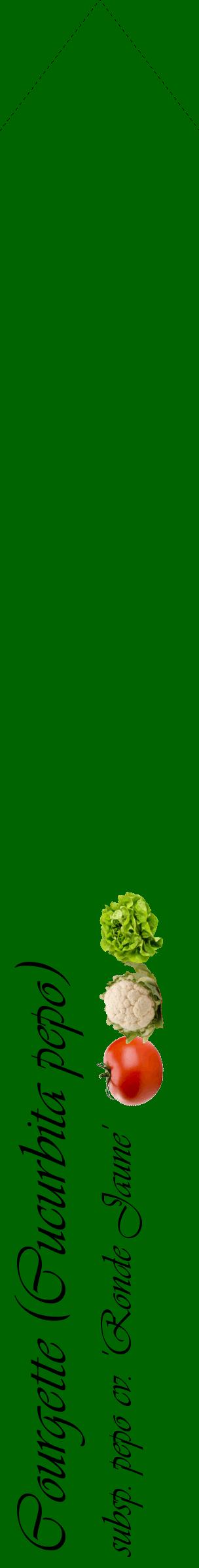 Étiquette de : Cucurbita pepo subsp. pepo cv. 'Ronde Jaune' - format c - style noire8_simpleviv avec comestibilité simplifiée