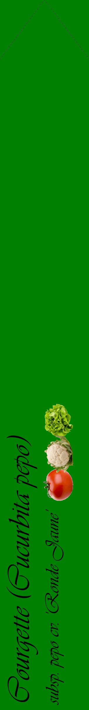 Étiquette de : Cucurbita pepo subsp. pepo cv. 'Ronde Jaune' - format c - style noire9_simpleviv avec comestibilité simplifiée