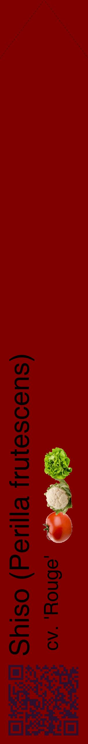 Étiquette de : Perilla frutescens cv. 'Rouge' - format c - style noire29_simplehel avec qrcode et comestibilité simplifiée