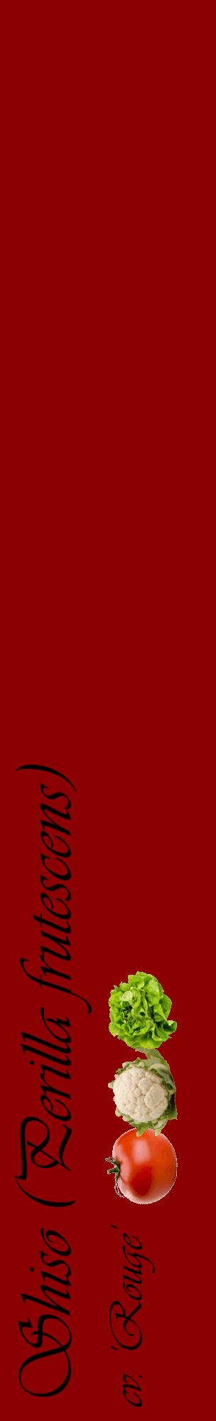Étiquette de : Perilla frutescens cv. 'Rouge' - format c - style noire34_basiqueviv avec comestibilité simplifiée