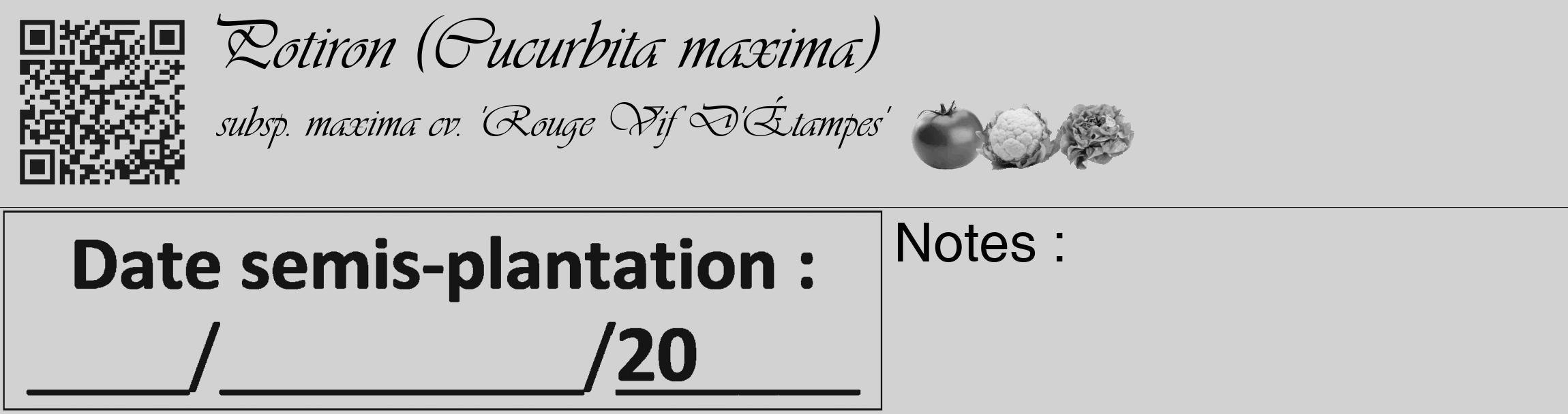 Étiquette de : Cucurbita maxima subsp. maxima cv. 'Rouge Vif D'Étampes' - format c - style noire14_basique_basiqueviv avec qrcode et comestibilité simplifiée