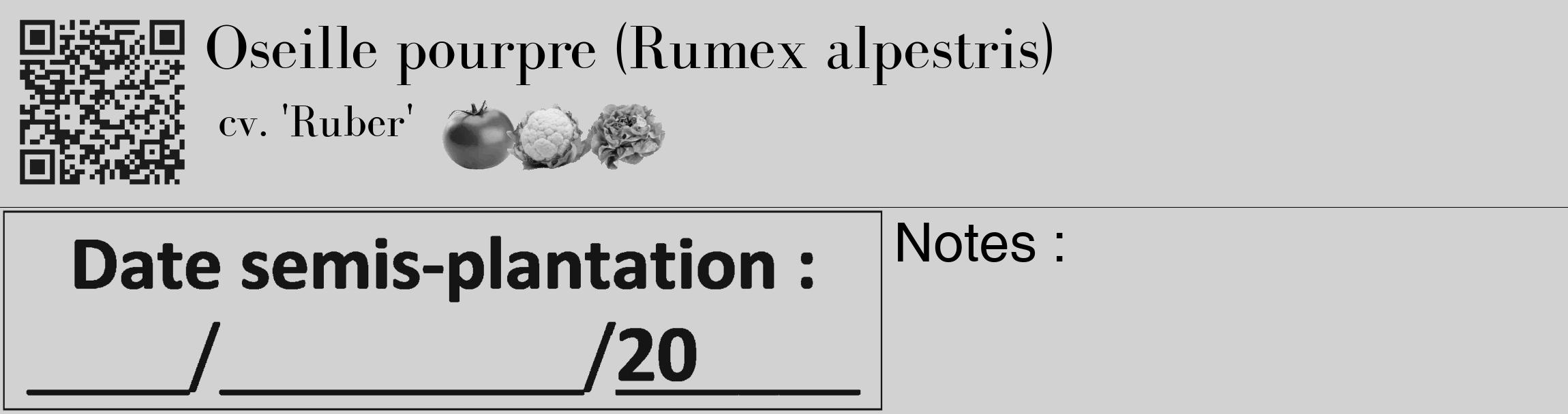 Étiquette de : Rumex alpestris cv. 'Ruber' - format c - style noire14_basique_basiquebod avec qrcode et comestibilité simplifiée