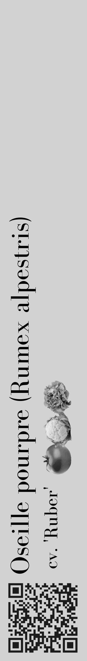 Étiquette de : Rumex alpestris cv. 'Ruber' - format c - style noire14_basique_basiquebod avec qrcode et comestibilité simplifiée - position verticale