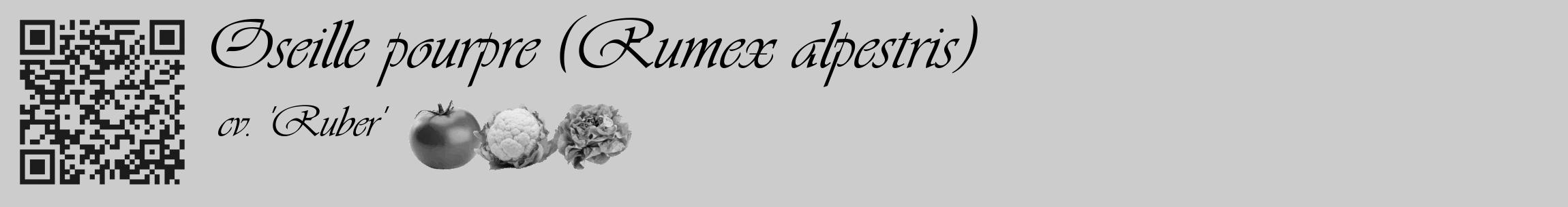 Étiquette de : Rumex alpestris cv. 'Ruber' - format c - style noire0_basique_basiqueviv avec qrcode et comestibilité simplifiée