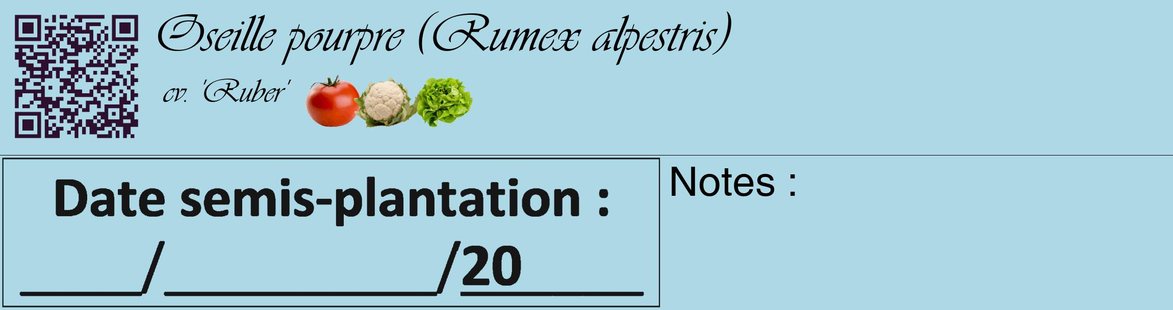 Étiquette de : Rumex alpestris cv. 'Ruber' - format c - style noire0_basique_basiqueviv avec qrcode et comestibilité simplifiée