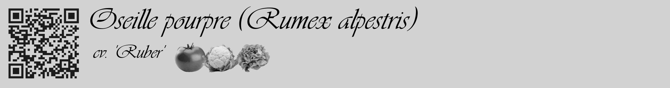 Étiquette de : Rumex alpestris cv. 'Ruber' - format c - style noire14_basique_basiqueviv avec qrcode et comestibilité simplifiée