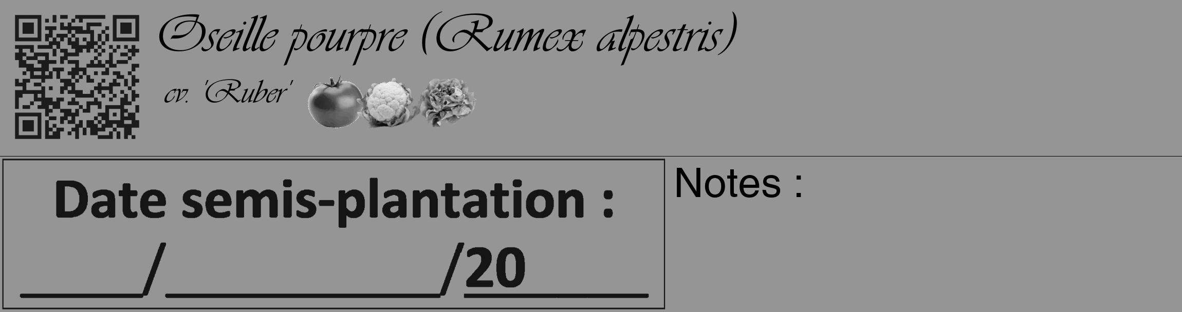 Étiquette de : Rumex alpestris cv. 'Ruber' - format c - style noire16_basique_basiqueviv avec qrcode et comestibilité simplifiée