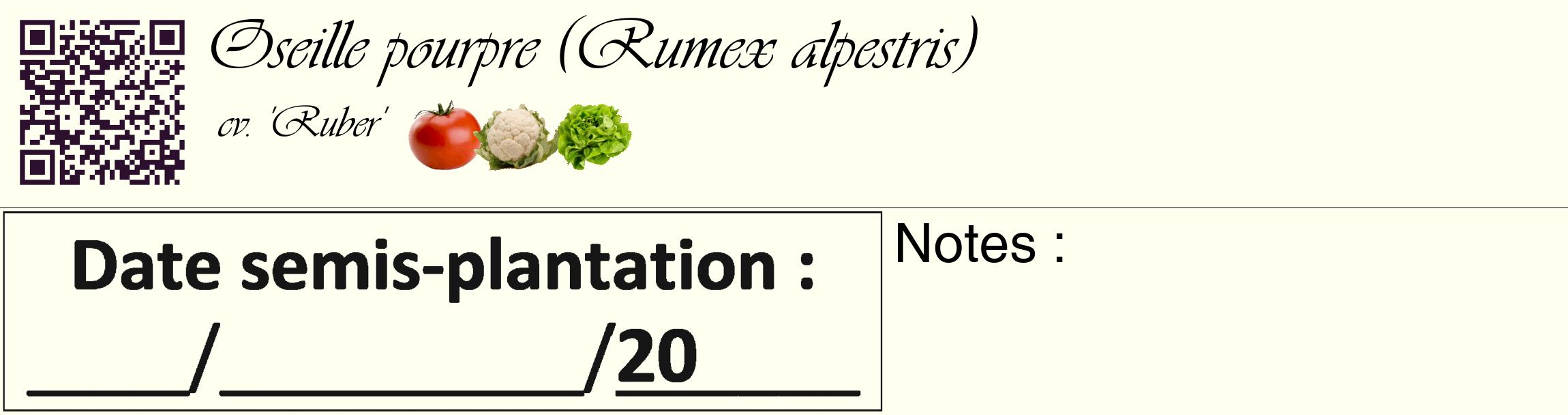 Étiquette de : Rumex alpestris cv. 'Ruber' - format c - style noire19_basique_basiqueviv avec qrcode et comestibilité simplifiée