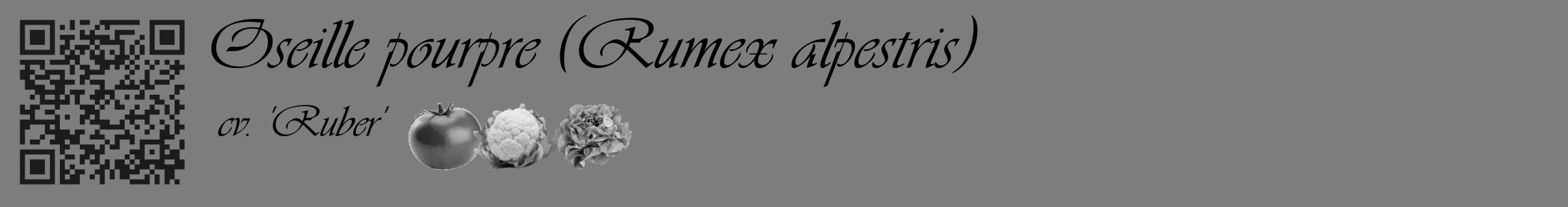 Étiquette de : Rumex alpestris cv. 'Ruber' - format c - style noire35_basique_basiqueviv avec qrcode et comestibilité simplifiée