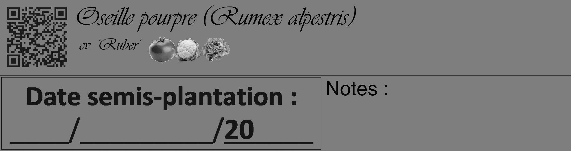 Étiquette de : Rumex alpestris cv. 'Ruber' - format c - style noire35_basique_basiqueviv avec qrcode et comestibilité simplifiée