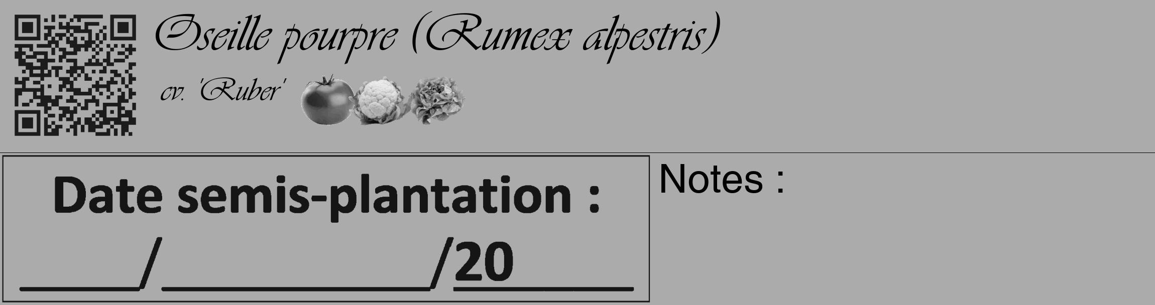 Étiquette de : Rumex alpestris cv. 'Ruber' - format c - style noire37_basique_basiqueviv avec qrcode et comestibilité simplifiée