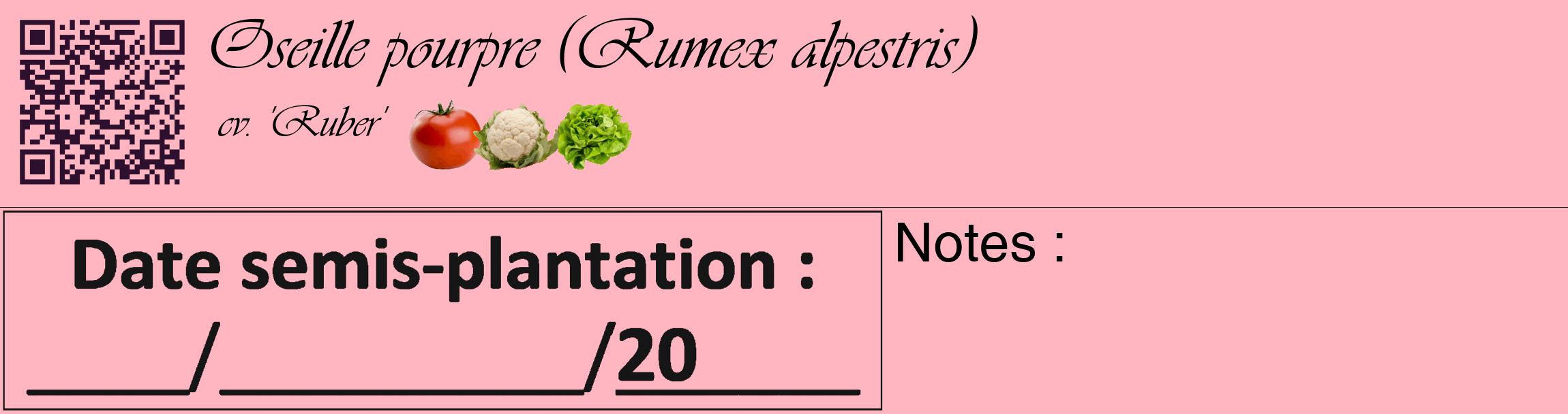 Étiquette de : Rumex alpestris cv. 'Ruber' - format c - style noire41_basique_basiqueviv avec qrcode et comestibilité simplifiée