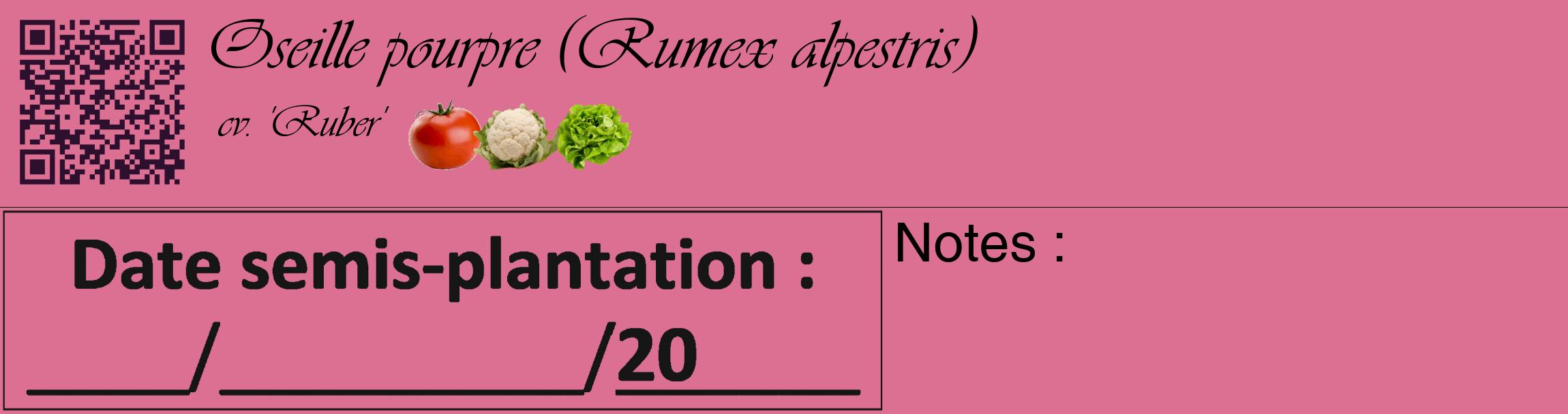 Étiquette de : Rumex alpestris cv. 'Ruber' - format c - style noire44_basique_basiqueviv avec qrcode et comestibilité simplifiée