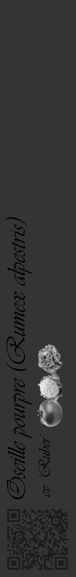 Étiquette de : Rumex alpestris cv. 'Ruber' - format c - style noire46_basique_basiqueviv avec qrcode et comestibilité simplifiée - position verticale