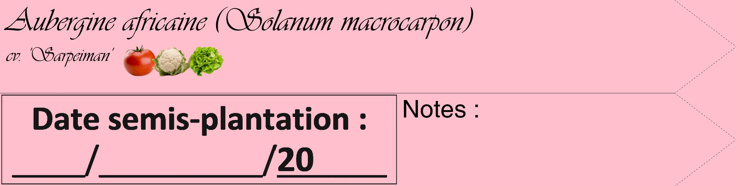 Étiquette de : Solanum macrocarpon cv. 'Sarpeiman' - format c - style noire40_simple_simpleviv avec comestibilité simplifiée