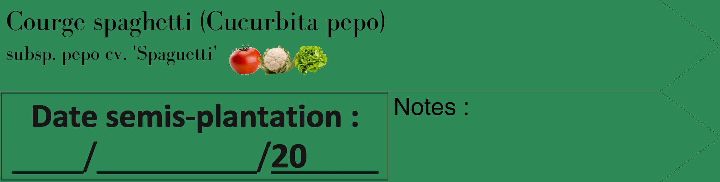 Étiquette de : Cucurbita pepo subsp. pepo cv. 'Spaguetti' - format c - style noire11_simple_simplebod avec comestibilité simplifiée