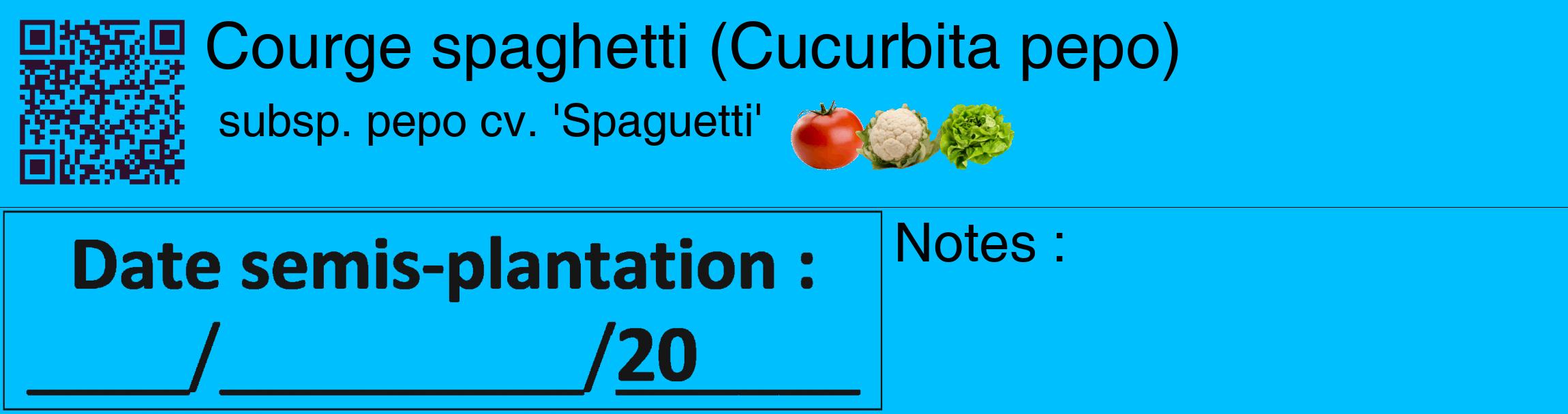 Étiquette de : Cucurbita pepo subsp. pepo cv. 'Spaguetti' - format c - style noire2_basique_basiquehel avec qrcode et comestibilité simplifiée