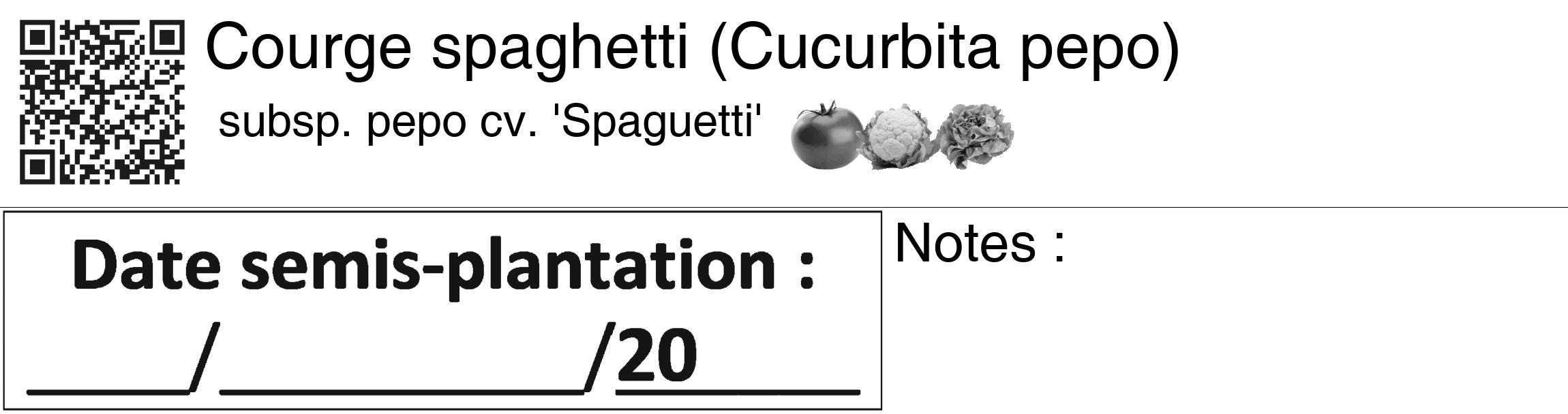 Étiquette de : Cucurbita pepo subsp. pepo cv. 'Spaguetti' - format c - style noire60_basiquegrrvhel avec qrcode et comestibilité simplifiée