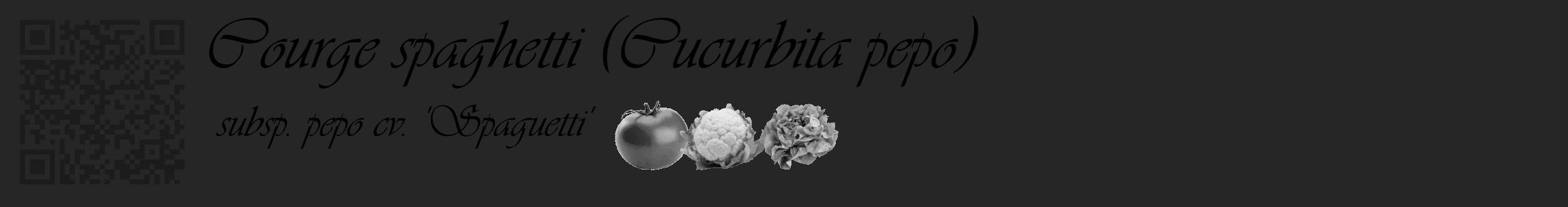 Étiquette de : Cucurbita pepo subsp. pepo cv. 'Spaguetti' - format c - style noire29_basique_basiqueviv avec qrcode et comestibilité simplifiée