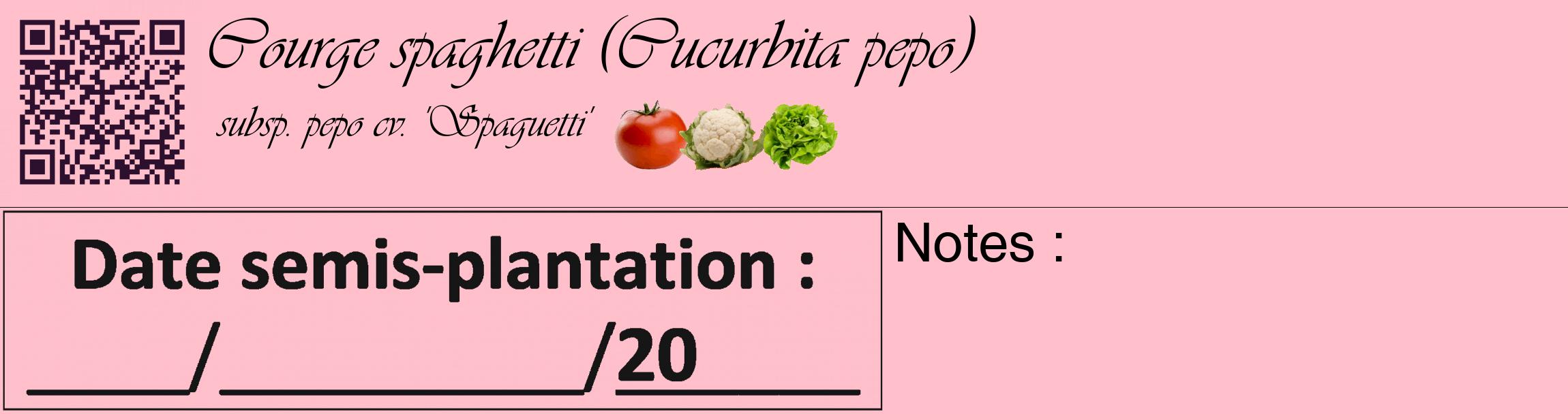 Étiquette de : Cucurbita pepo subsp. pepo cv. 'Spaguetti' - format c - style noire40_basique_basiqueviv avec qrcode et comestibilité simplifiée