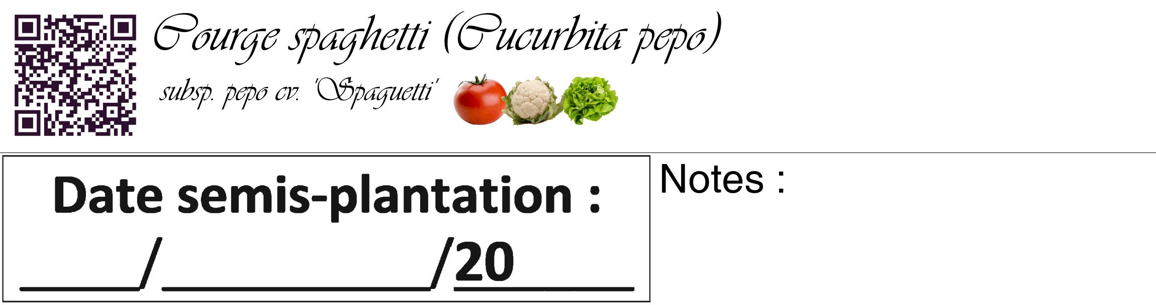 Étiquette de : Cucurbita pepo subsp. pepo cv. 'Spaguetti' - format c - style noire60_basique_basiqueviv avec qrcode et comestibilité simplifiée