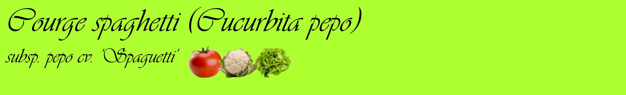 Étiquette de : Cucurbita pepo subsp. pepo cv. 'Spaguetti' - format c - style noire17basique_basique_basiqueviv avec comestibilité simplifiée