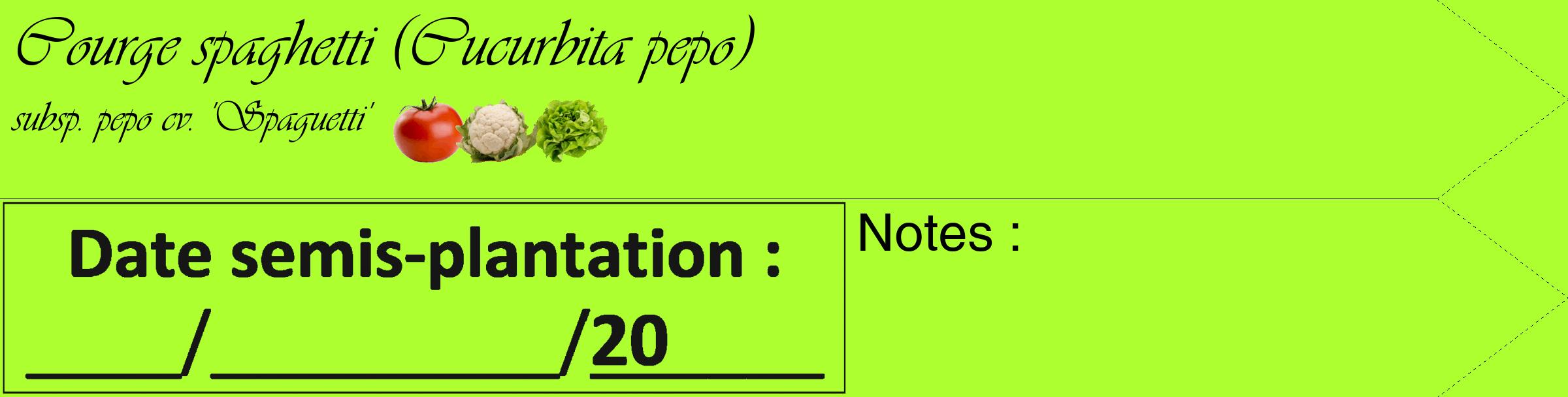 Étiquette de : Cucurbita pepo subsp. pepo cv. 'Spaguetti' - format c - style noire17simple_basique_basiqueviv avec comestibilité simplifiée