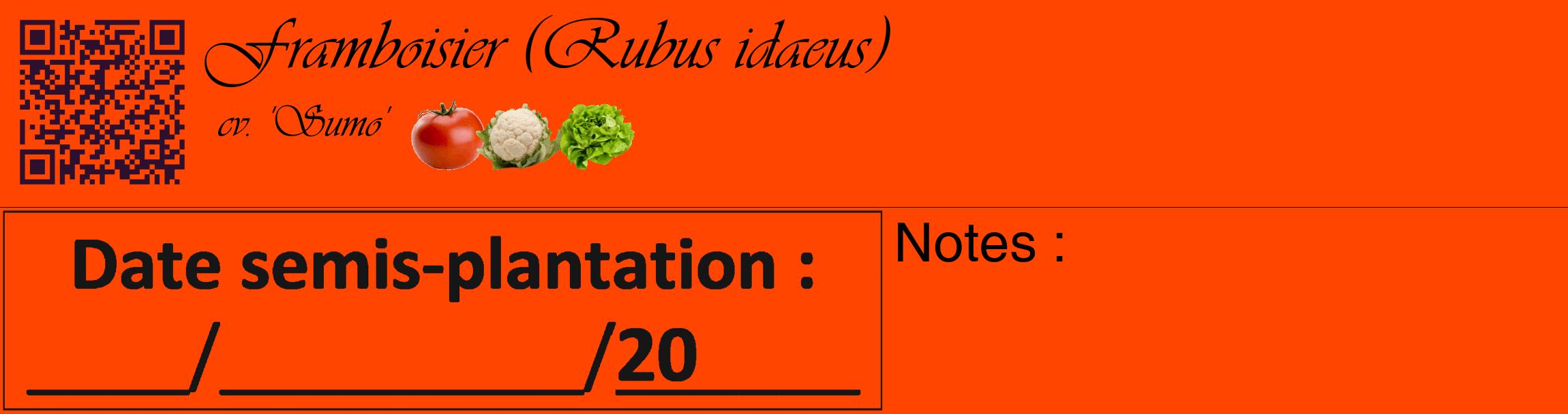 Étiquette de : Rubus idaeus cv. 'Sumo' - format c - style noire26basique_basique_basiqueviv avec qrcode et comestibilité simplifiée