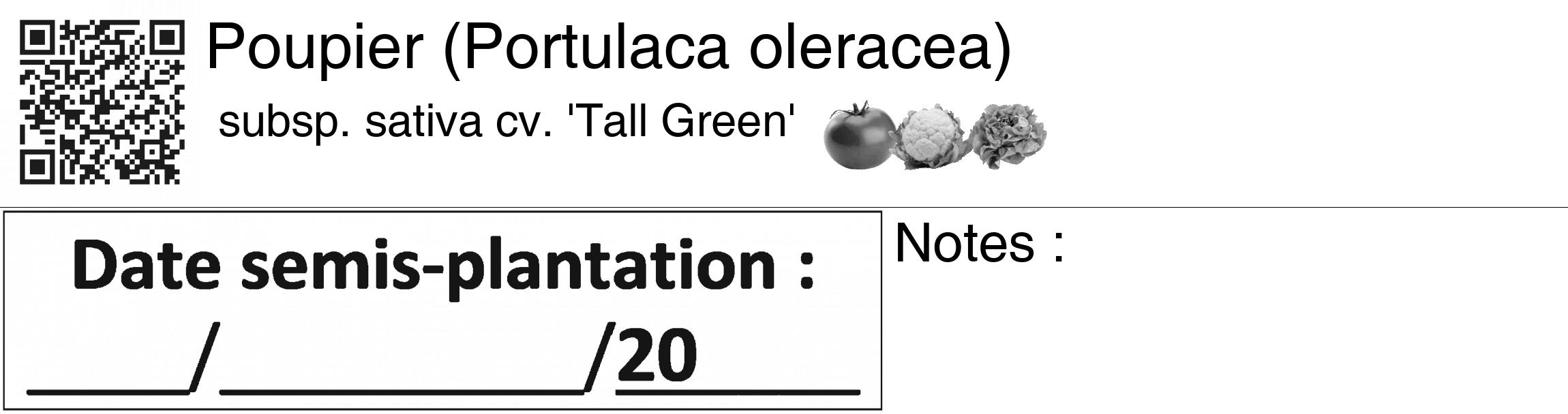 Étiquette de : Portulaca oleracea subsp. sativa cv. 'Tall Green' - format c - style noire60_basiquegrrvhel avec qrcode et comestibilité simplifiée