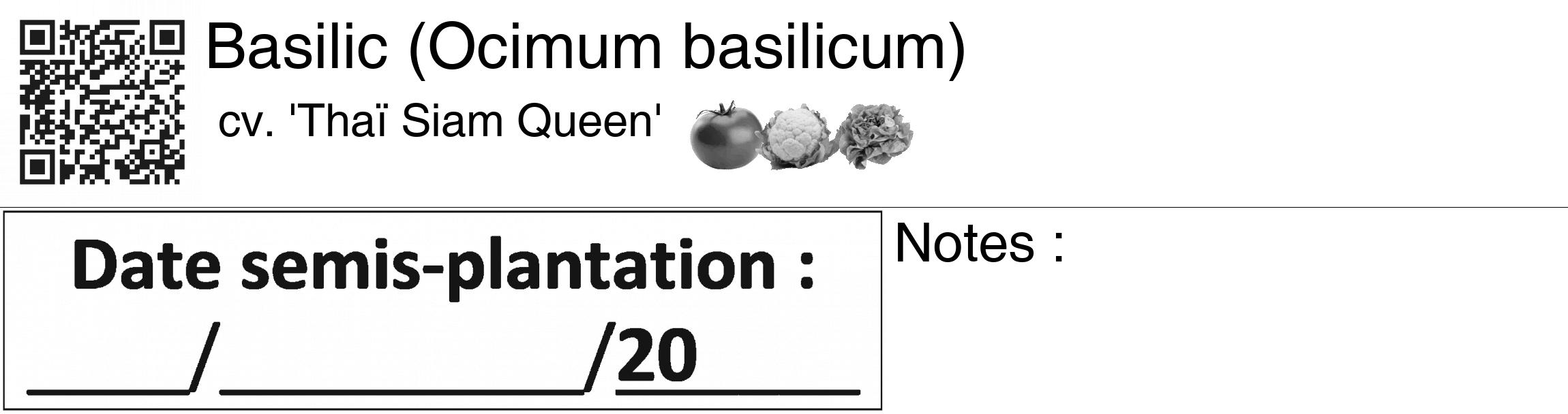 Étiquette de : Ocimum basilicum cv. 'Thaï Siam Queen' - format c - style noire60_basiquegrrvhel avec qrcode et comestibilité simplifiée