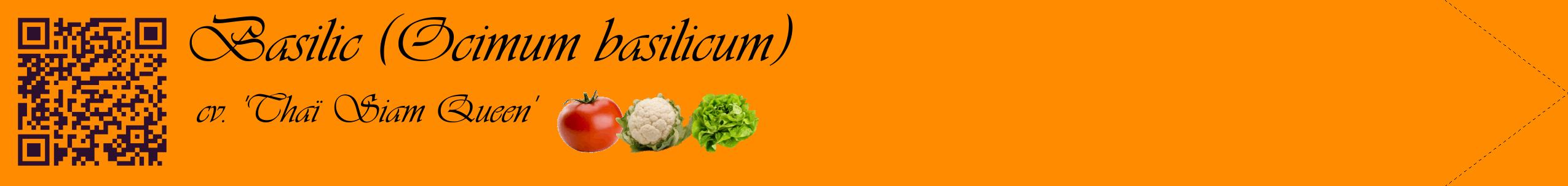Étiquette de : Ocimum basilicum cv. 'Thaï Siam Queen' - format c - style noire23simple_basique_basiqueviv avec qrcode et comestibilité simplifiée