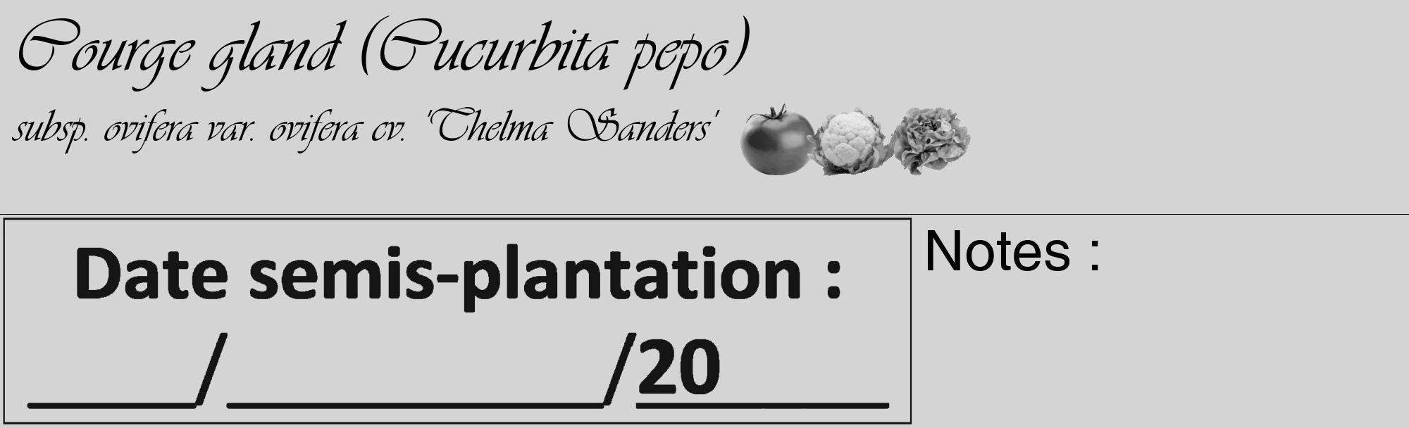 Étiquette de : Cucurbita pepo subsp. ovifera var. ovifera cv. 'Thelma Sanders' - format c - style noire40_basique_basiqueviv avec comestibilité simplifiée