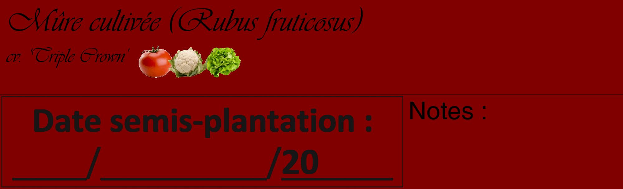 Étiquette de : Rubus fruticosus cv. 'Triple Crown' - format c - style noire29basique_basique_basiqueviv avec comestibilité simplifiée