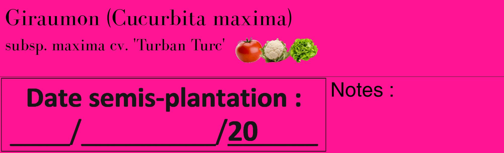 Étiquette de : Cucurbita maxima subsp. maxima cv. 'Turban Turc' - format c - style noire43_basique_basiquebod avec comestibilité simplifiée