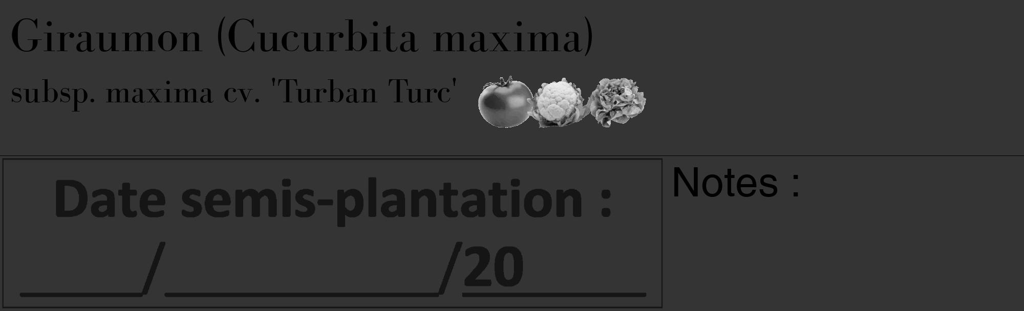 Étiquette de : Cucurbita maxima subsp. maxima cv. 'Turban Turc' - format c - style noire46_basique_basiquebod avec comestibilité simplifiée