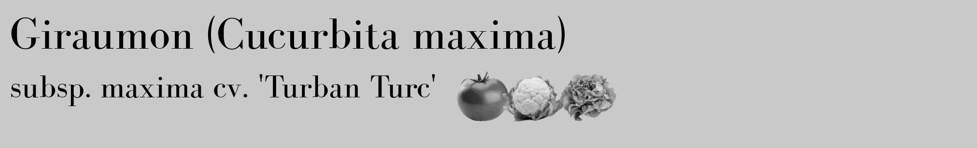 Étiquette de : Cucurbita maxima subsp. maxima cv. 'Turban Turc' - format c - style noire54_basique_basiquebod avec comestibilité simplifiée
