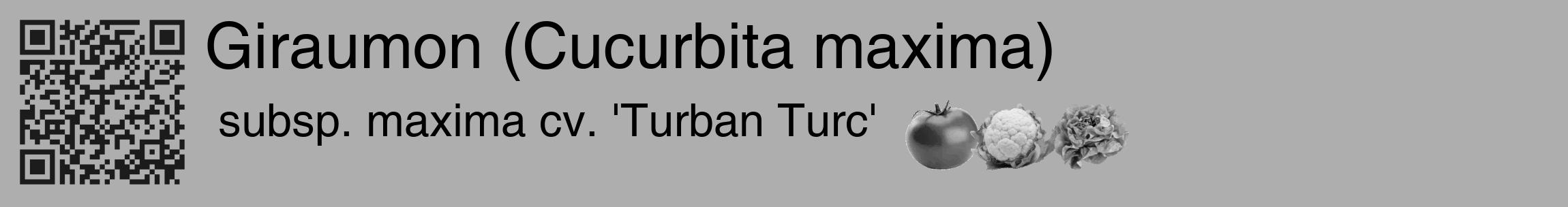 Étiquette de : Cucurbita maxima subsp. maxima cv. 'Turban Turc' - format c - style noire53_basique_basiquehel avec qrcode et comestibilité simplifiée