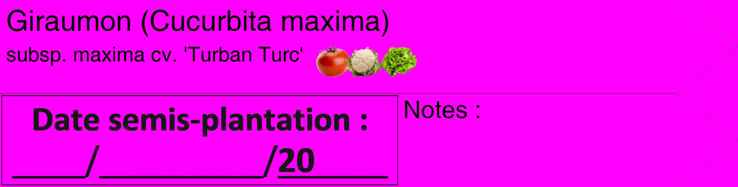 Étiquette de : Cucurbita maxima subsp. maxima cv. 'Turban Turc' - format c - style noire51_simple_simplehel avec comestibilité simplifiée