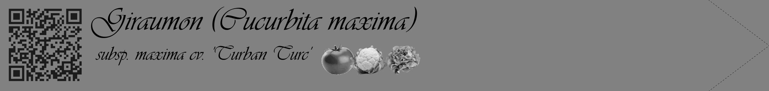 Étiquette de : Cucurbita maxima subsp. maxima cv. 'Turban Turc' - format c - style noire50_simple_simpleviv avec qrcode et comestibilité simplifiée