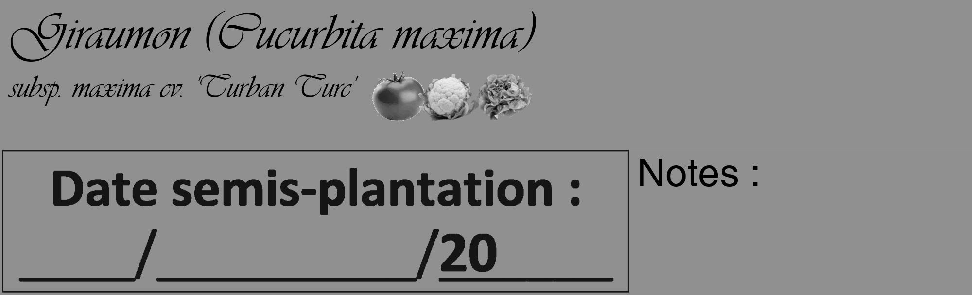 Étiquette de : Cucurbita maxima subsp. maxima cv. 'Turban Turc' - format c - style noire4_basique_basiqueviv avec comestibilité simplifiée