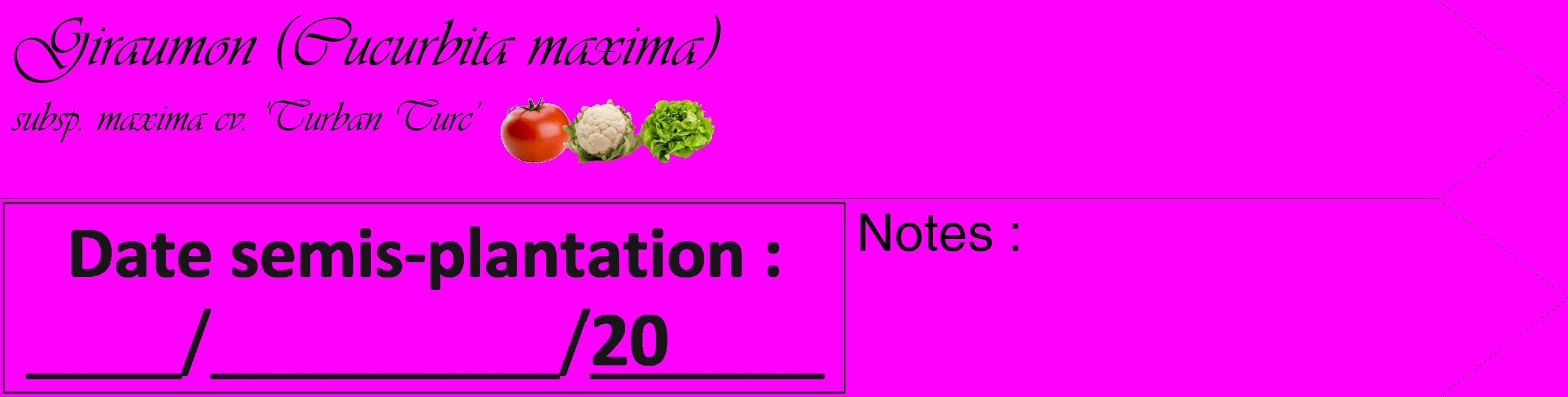 Étiquette de : Cucurbita maxima subsp. maxima cv. 'Turban Turc' - format c - style noire51_simple_simpleviv avec comestibilité simplifiée