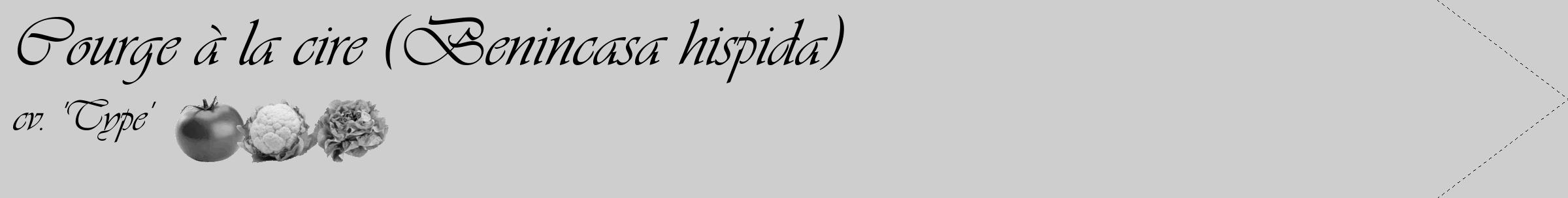 Étiquette de : Benincasa hispida cv. 'Type' - format c - style noire17_simple_simpleviv avec comestibilité simplifiée